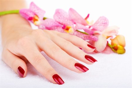 Woman hand with pink orchid Stock Photo - Budget Royalty-Free & Subscription, Code: 400-05003002