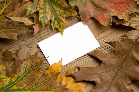 simsearch:400-07548535,k - Blank message card with autumn colorful leaf over board Fotografie stock - Microstock e Abbonamento, Codice: 400-05003095