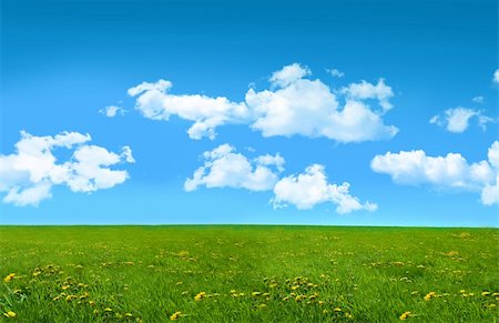 simsearch:400-06143114,k - Blissful summer day in a field of tall grass Fotografie stock - Microstock e Abbonamento, Codice: 400-05003983