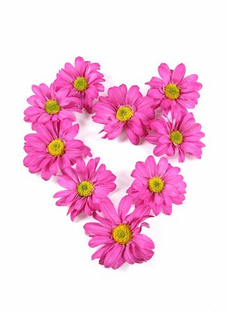 simsearch:400-04941060,k - Pretty pink flowers in a heart shape isolated on white. Fotografie stock - Microstock e Abbonamento, Codice: 400-05014199