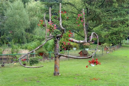 simsearch:400-06073508,k - some beautiful flowers on a old tree Photographie de stock - Aubaine LD & Abonnement, Code: 400-05014453