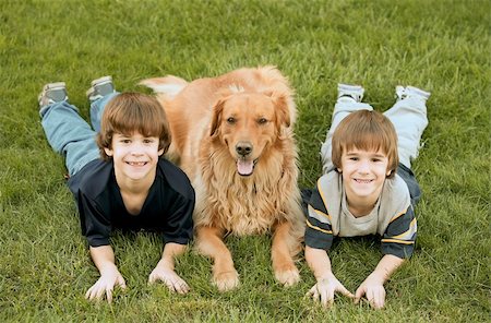 emotional golden retriever - Boys Laying down With Golden Retriever Stock Photo - Budget Royalty-Free & Subscription, Code: 400-05015058
