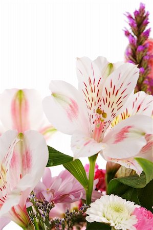 simsearch:400-04478105,k - Bouquet of flowers on white background Photographie de stock - Aubaine LD & Abonnement, Code: 400-05015398