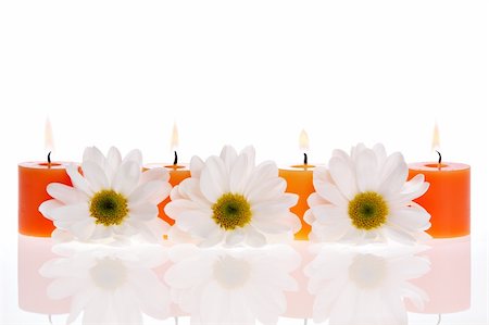 simsearch:400-03950235,k - Daisies and a candle isolated Photographie de stock - Aubaine LD & Abonnement, Code: 400-05015573