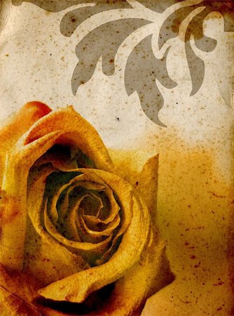 simsearch:400-08132574,k - Grunge background with warm rose and ornaments - vintage sepia paper texture Stockbilder - Microstock & Abonnement, Bildnummer: 400-05016163