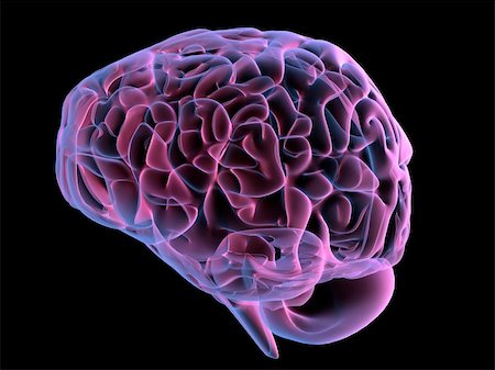 subconscious - 3d rendered anatomy illustration from a side view of a human brain Stock Photo - Budget Royalty-Free & Subscription, Code: 400-05016613