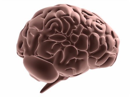 subconscious - 3d rendered anatomy illustration of a human brain Stock Photo - Budget Royalty-Free & Subscription, Code: 400-05016647