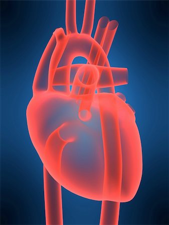 simsearch:400-04008687,k - 3d rendered anatomy illustration of a human heart Photographie de stock - Aubaine LD & Abonnement, Code: 400-05016642