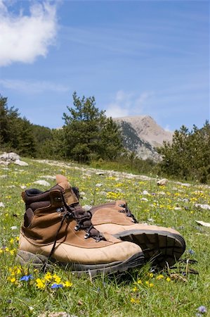 simsearch:400-04997337,k - Alpine boots in a meadow with flowers in front of a mountain landscape Stock Photo - Budget Royalty-Free & Subscription, Code: 400-05017255