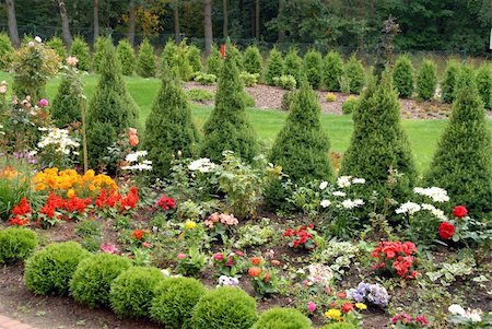 simsearch:400-04432314,k - flowers and trees in my colored garden Stock Photo - Budget Royalty-Free & Subscription, Code: 400-05018158