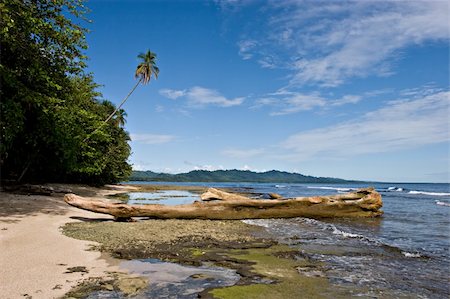 simsearch:400-03968355,k - View over a tropical beach in Costa Rica. Stock Photo - Budget Royalty-Free & Subscription, Code: 400-05018543