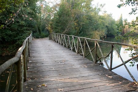 Wood bridge over lake in Curia Natural Park, Portugal Stock Photo - Budget Royalty-Free & Subscription, Code: 400-05018865