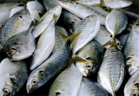 fresh fish at the market Stock Photo - Budget Royalty-Free & Subscription, Code: 400-05018893