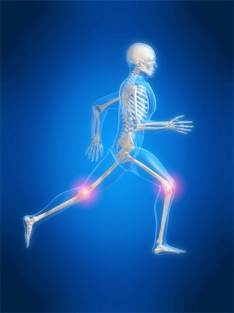 simsearch:400-04191168,k - 3d rendered anatomy illustration of a running skeleton with painful knees Stock Photo - Budget Royalty-Free & Subscription, Code: 400-05019158
