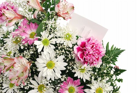 simsearch:400-04486211,k - A border of spring flowers with a blank gift card, isolated on white. Stockbilder - Microstock & Abonnement, Bildnummer: 400-05019576