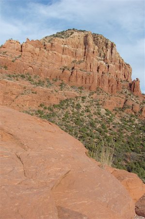 echoforsberg (artist) - Cactus plant growing in Sedona, Arizona.Scenic shot taken from Chapel of the Holy Cross in Sedona, Arizona Fotografie stock - Microstock e Abbonamento, Codice: 400-05019837