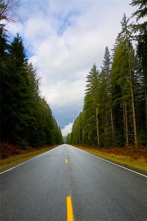 Straight two lane road going through the forest off into the horizon Photographie de stock - Aubaine LD & Abonnement, Code: 400-05010526