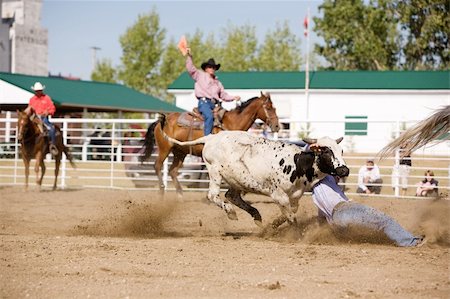 débandade - Steer wrestling at a local small town rodeo Photographie de stock - Aubaine LD & Abonnement, Code: 400-05010899