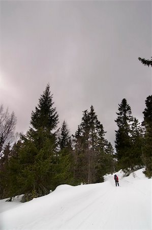 simsearch:400-04470085,k - A winter landsacpe with lots of snow. Stockbilder - Microstock & Abonnement, Bildnummer: 400-05011464