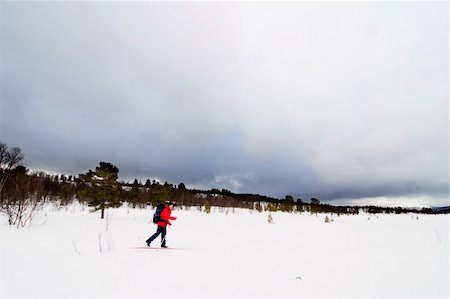 simsearch:400-04520291,k - Skiing no a winter landscape Stockbilder - Microstock & Abonnement, Bildnummer: 400-05011462