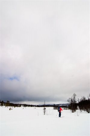 simsearch:400-04520291,k - Skiing no a winter landscape Stockbilder - Microstock & Abonnement, Bildnummer: 400-05011463