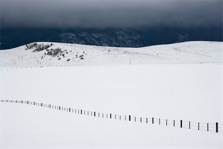 Snow covered field with barbed wire fence in rural mountainous Colorado. Stock Photo - Budget Royalty-Free & Subscription, Code: 400-05012398