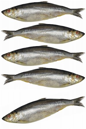 fedotishe (artist) - Five red-eyed salted herrings isolated on white Stock Photo - Budget Royalty-Free & Subscription, Code: 400-05012609