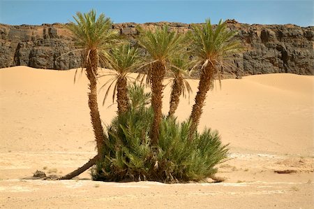 Dry and arid Moroccan landscape in the north of africa Stock Photo - Budget Royalty-Free & Subscription, Code: 400-05012764