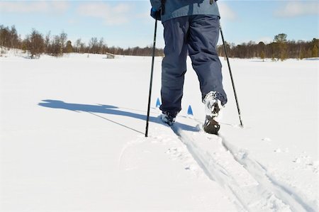 simsearch:400-03939497,k - A skier on a wintery snow filled landscape. Foto de stock - Super Valor sin royalties y Suscripción, Código: 400-05012967