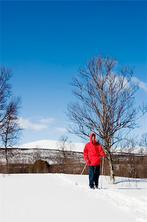 simsearch:400-03939497,k - A skier on a wintery snow filled landscape. Foto de stock - Super Valor sin royalties y Suscripción, Código: 400-05012961