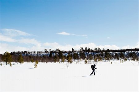 simsearch:400-03939497,k - A skier on a wintery snow filled landscape. Foto de stock - Super Valor sin royalties y Suscripción, Código: 400-05012962
