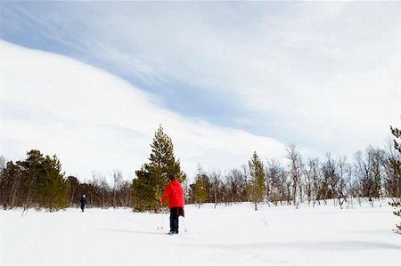 simsearch:400-04520291,k - A ski adventure on a snowy landscape Stockbilder - Microstock & Abonnement, Bildnummer: 400-05012971