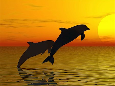 dolphin silhouette - Couple of dolphins swimming in the ocean - sunset background Stock Photo - Budget Royalty-Free & Subscription, Code: 400-05013331