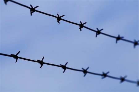 simsearch:400-04735037,k - Barb wire close up Photographie de stock - Aubaine LD & Abonnement, Code: 400-05013586