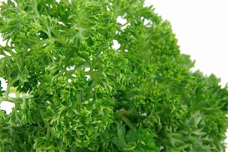 simsearch:400-05919877,k - Close up of fresh parsley in isolated white background Stock Photo - Budget Royalty-Free & Subscription, Code: 400-05024292