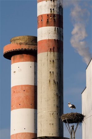 Stork near power plant with smoke Photographie de stock - Aubaine LD & Abonnement, Code: 400-05024549