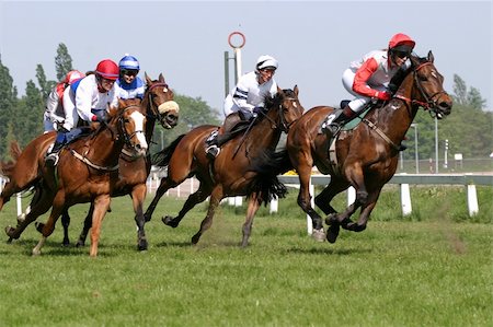 simsearch:400-03963631,k - horse and jockey at race-course up to the finish line Photographie de stock - Aubaine LD & Abonnement, Code: 400-05025054