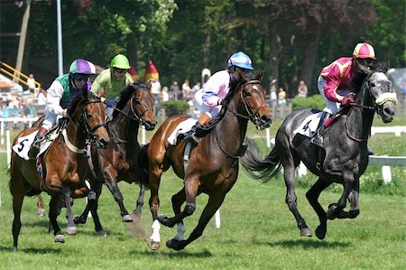 simsearch:400-03963631,k - horse and jockey at race-course up to the finish line Photographie de stock - Aubaine LD & Abonnement, Code: 400-05025053