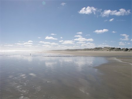 playa ninety mile - Ninety Mile Beach, North Island, New Zealand Photographie de stock - Aubaine LD & Abonnement, Code: 400-05025101