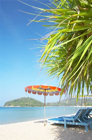 simsearch:400-04243517,k - View of nice empty sandy beach with fragment of a  mangrove tree Foto de stock - Super Valor sin royalties y Suscripción, Código: 400-05025161