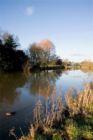 The River avon warwick warwickshire england uk. Photographie de stock - Aubaine LD & Abonnement, Code: 400-05026099