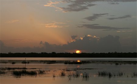 A lakeside sunrise of a Belizean waterfowl park Stock Photo - Budget Royalty-Free & Subscription, Code: 400-05026512