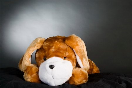 simsearch:400-03942225,k - A generic dog stuffed animal posing for the camera. Fotografie stock - Microstock e Abbonamento, Codice: 400-05026693