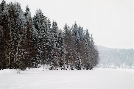 simsearch:400-03939497,k - A grouping of trees on a frozen lake during winter, Oslo, Norway Foto de stock - Super Valor sin royalties y Suscripción, Código: 400-05026719