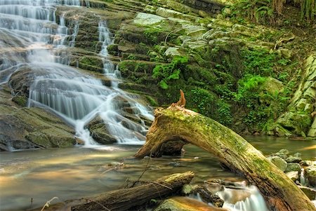 simsearch:400-04715797,k - Photogenic little waterfall in the forests of Oregon in the Ayance Canyon area Stock Photo - Budget Royalty-Free & Subscription, Code: 400-05026877