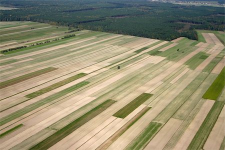 farmland bird view - Aerial image of field Stock Photo - Budget Royalty-Free & Subscription, Code: 400-05027098