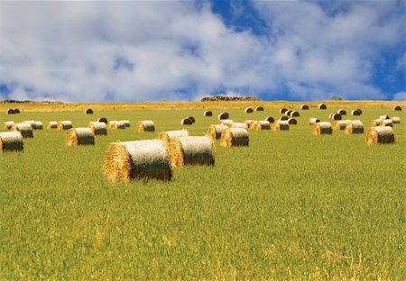 simsearch:400-06201047,k - Straw hay bales Stock Photo - Budget Royalty-Free & Subscription, Code: 400-05027185