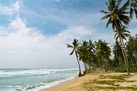 wide shot photo of beautiful tropical beach Stock Photo - Budget Royalty-Free & Subscription, Code: 400-05027194