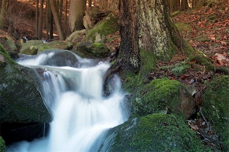 simsearch:400-03939582,k - Little waterfall River in autumn forest. Foto de stock - Super Valor sin royalties y Suscripción, Código: 400-05027545