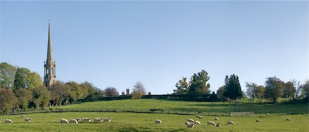 simsearch:400-04513431,k - Sheep in a field with a church tower behind. Stock Photo - Budget Royalty-Free & Subscription, Code: 400-05027584